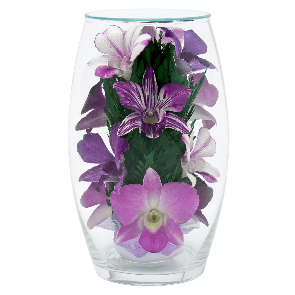 Miracle Orchids